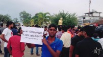 Jallikattu protest across the globe