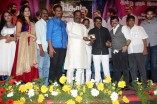 Kangaroo Audio Launch