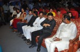 Kangaroo Audio Launch