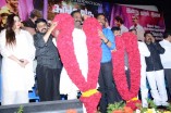 Kangaroo Audio Launch