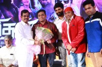 Kanithan audio launch