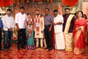 Keerthana Parthiepan Wedding