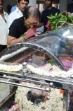 Last Respects to Manjula Vijayakumar Day 2