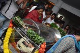 Last Respects to Manjula Vijayakumar