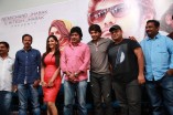 Meaghamann Success Meet