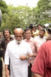 Celebrities Pay Homage to MSV