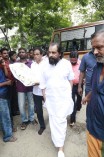 Celebrities Pay Homage to MSV