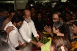 Celebrities Pay Homage to MSV