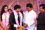 Pandiarajan's Son Wedding Reception Photos