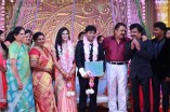 Pandiarajan's Son Wedding Reception Photos