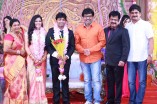 Pandiarajan's Son Wedding Reception Photos