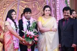 Pandiarajan's Son Wedding Reception Photos