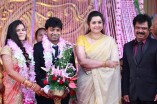 Pandiarajan's Son Wedding Reception Photos