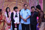 Pandiarajan's Son Wedding Reception Photos