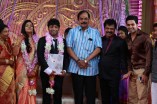 Pandiarajan's Son Wedding Reception Photos