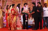 Pandiarajan's Son Wedding Reception Photos