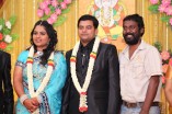 Producer Swaminathan's Son Wedding Reception