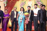 Producer Swaminathan's Son Wedding Reception