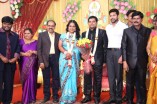 Producer Swaminathan's Son Wedding Reception