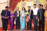 Producer Swaminathan's Son Wedding Reception