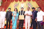 Producer Swaminathan's Son Wedding Reception