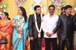 Producer Swaminathan's Son Wedding Reception