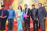 Producer Swaminathan's Son Wedding Reception