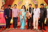 Producer Swaminathan's Son Wedding Reception