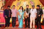 Producer Swaminathan's Son Wedding Reception