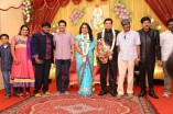 Producer Swaminathan's Son Wedding Reception