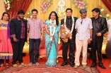 Producer Swaminathan's Son Wedding Reception