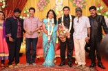 Producer Swaminathan's Son Wedding Reception