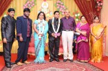 Producer Swaminathan's Son Wedding Reception