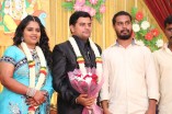 Producer Swaminathan's Son Wedding Reception