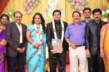 Producer Swaminathan's Son Wedding Reception