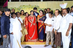 Salem RR Biriyani MD Tamil Selvan's Daughter Reception