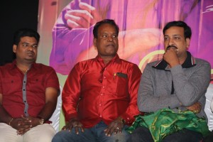 Sirikka Vidalaama Audio Launch