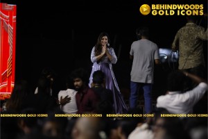 THE BEHINDWOODS GOLD ICONS - CANDID MOMENTS SET 1