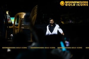 THE BEHINDWOODS GOLD ICONS - CANDID MOMENTS SET 1