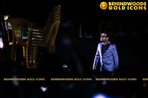 THE BEHINDWOODS GOLD ICONS - CANDID MOMENTS SET 1