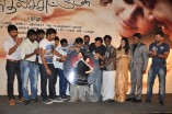 Theriyama Unnai Kadhalichitten Audio Launch