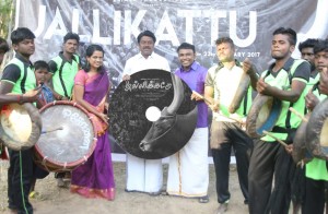 Jallikattu (aka) Jalli kattu