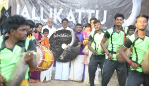 Jallikattu (aka) Jalli kattu