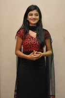 Anandhi (aka) Anandhii