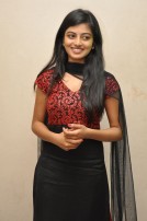 Anandhi (aka) Anandhii