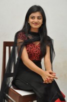 Anandhi (aka) Anandhii