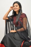 Anandhi (aka) Anandhii