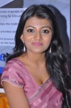 Anandhi (aka) Anandhii