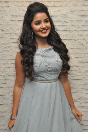 Anupama Parameswaran (aka) Anupama