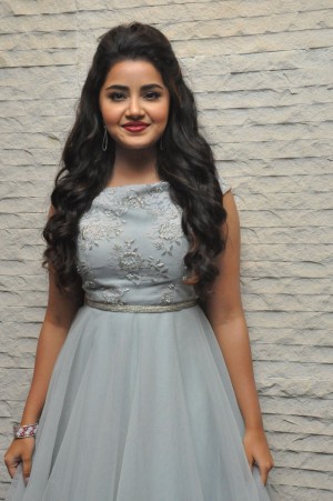 Anupama Parameswaran (aka) Anupama